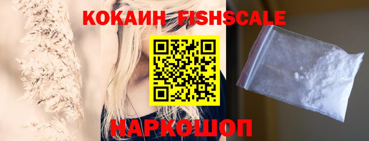 COCAIN Fish Scale  Вход с VPN  Чайковский 